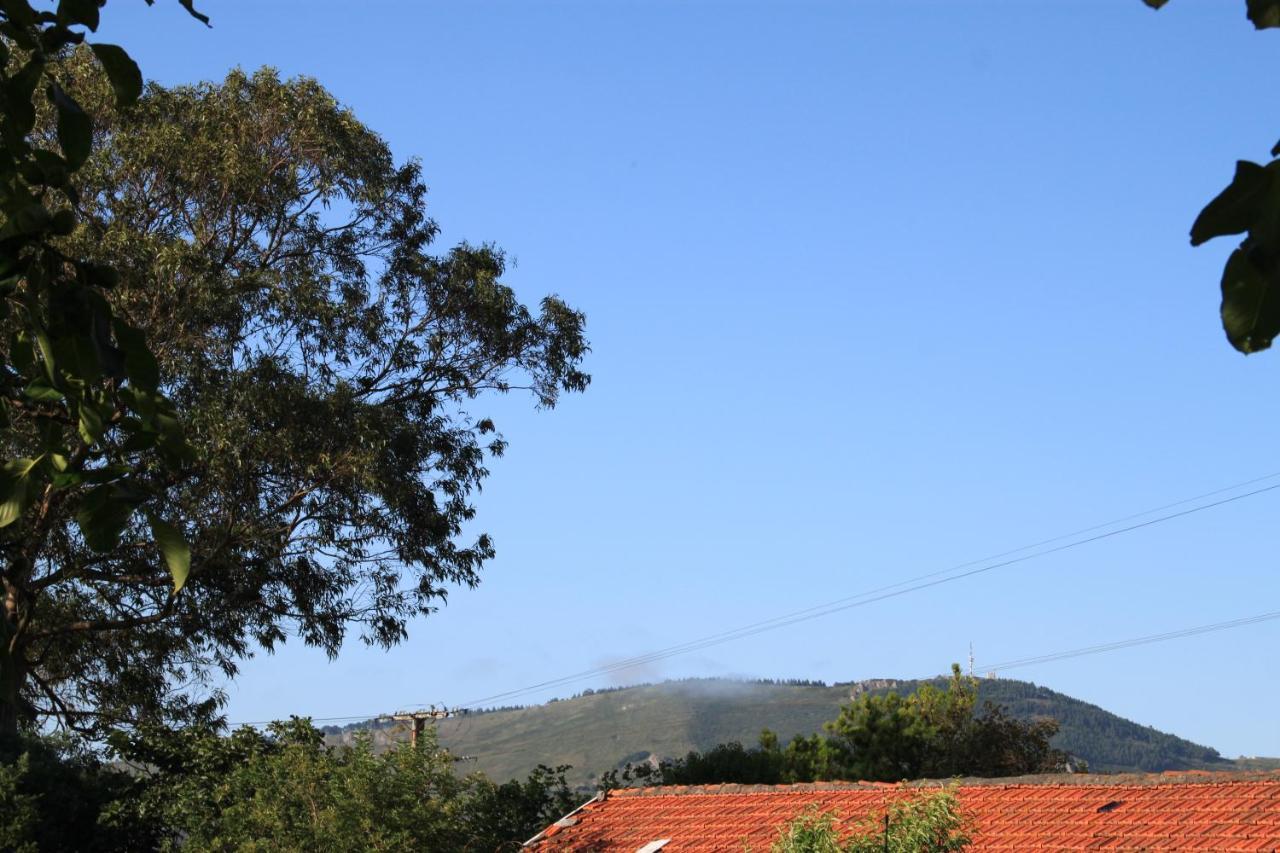 Apartamento Rural Zuri Cotorrio Esterno foto